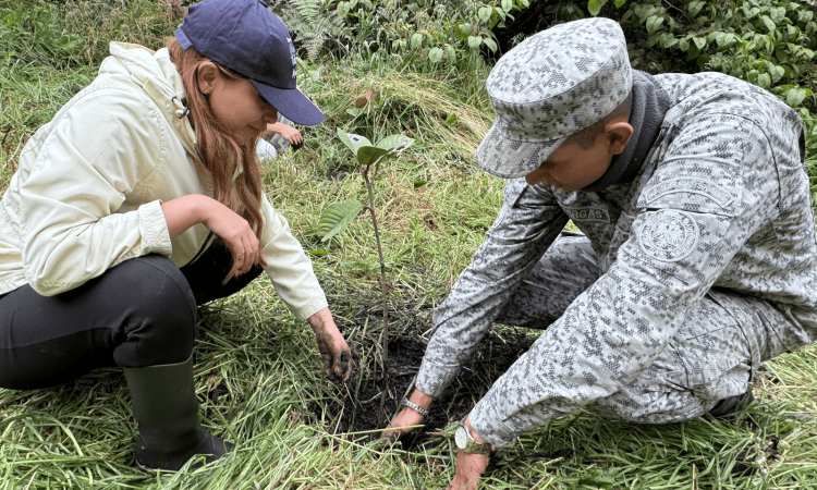 Unidos por el ambiente, siembra de 300 árboles en Zipacón, Cundinamarca
