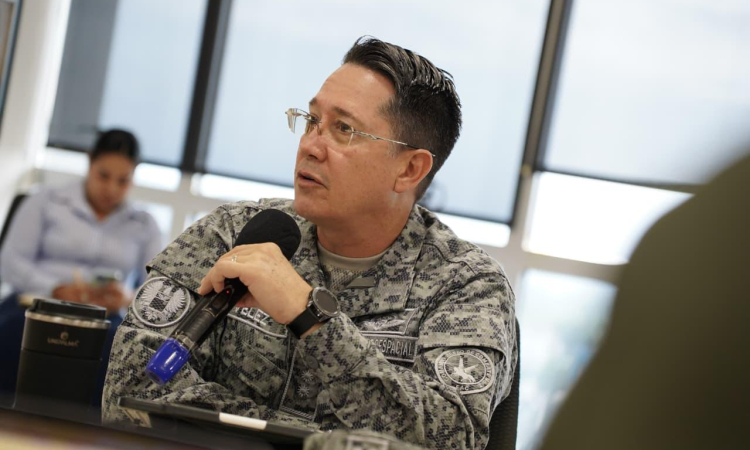 Consejo de seguridad fortalece las operaciones en defensa del pueblo llanero