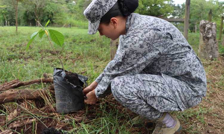 En Villavicencio nos unimos al reto de sembrar 500.000 árboles en un minuto En Villavicencio nos unimos al reto de sembrar 500.000 árboles en un minuto