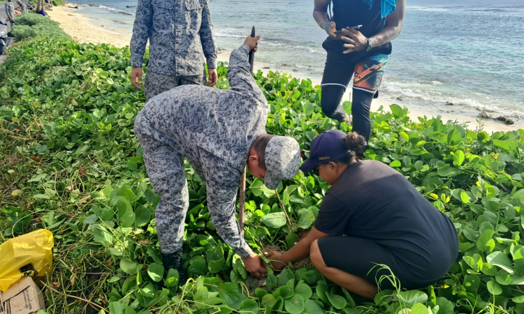Siembra y limpieza ambiental en apoyo al archipiélago