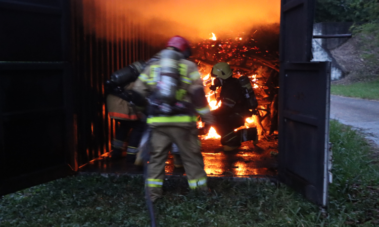 Soldados Profesionales son entrenados para salvar vidas 
