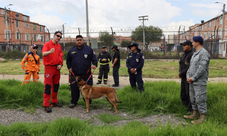 Caninos militares fortalecen capacidades de búsqueda y rescate mediante cooperación técnica internacional