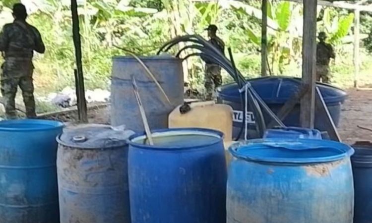 Operación binacional golpea economías ilícitas en el Amazonas