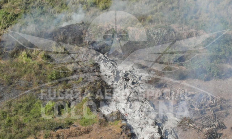 Bomberos Aeronáuticos atienden incendio forestal en Malambo, Atlántico