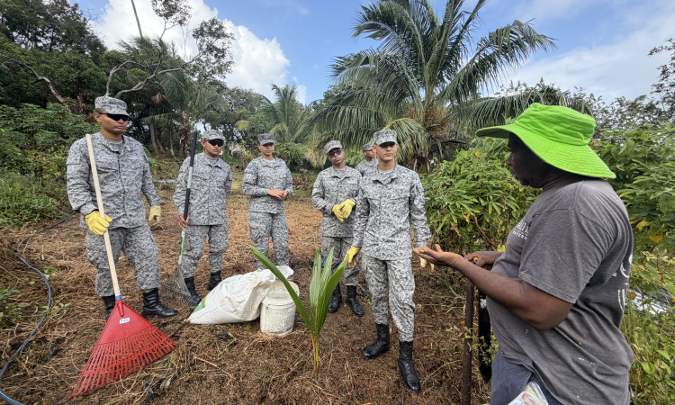 Nuevo proyecto busca revitalizar la tradición cocotera en San Andrés