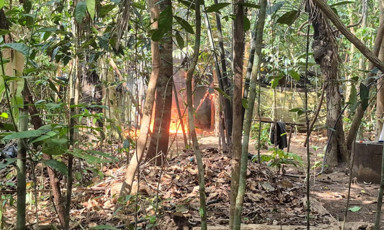 Millonaria afectación a las finanzas del ELN en el Oriente del país