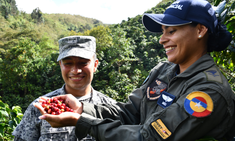 Sembrando futuro, cultivando paz en las montañas de Icononzo