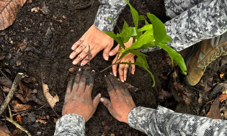 Puerto Salgar, Cundinamarca reverdece con siembra de 200 árboles y compromiso ambiental