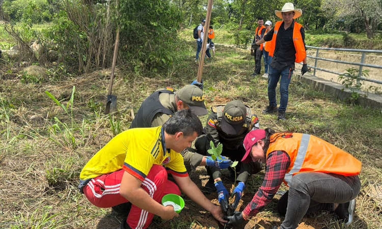 Siembra de 300 árboles fortalece acciones ambientales en Aguazul