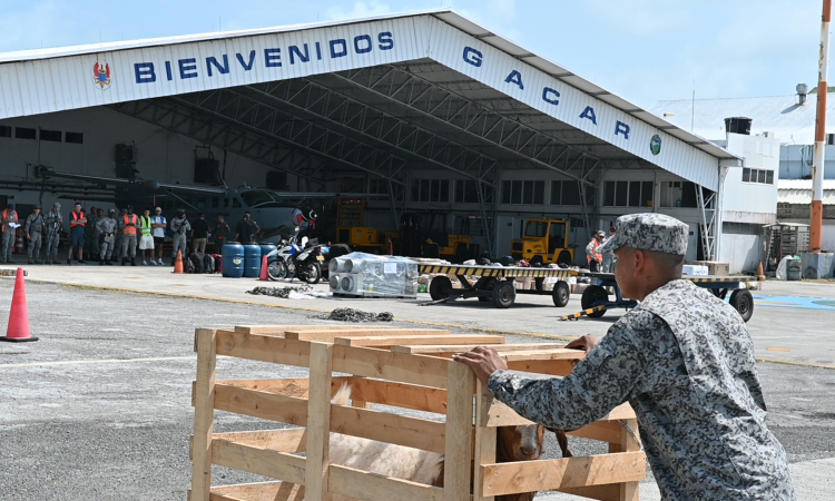 Traslado de ejemplar caprino fortalece seguridad alimentaria en Providencia y Santa Catalina