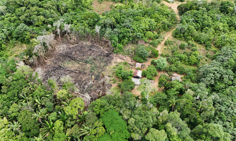 Presuntos delitos ambientales evidenciados en área protegida del Parque Nacional El Tuparro