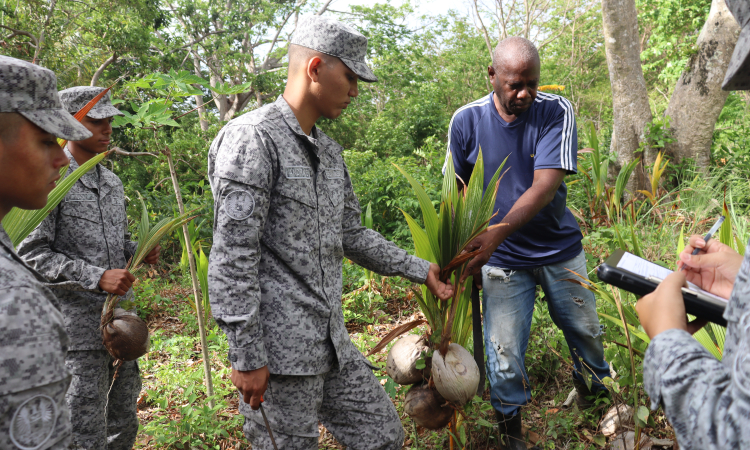 Continúa apoyo a proyecto social productivo cocotero en San Andrés