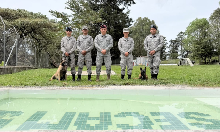 Bienestar integral: El cuidado que fortalece a los caninos militares