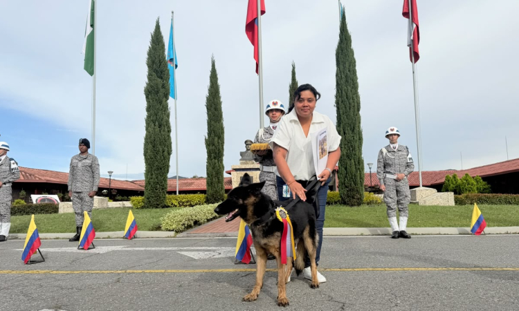 Dimatea, heroína de cuatro patas, inicia su retiro tras servir a Colombia