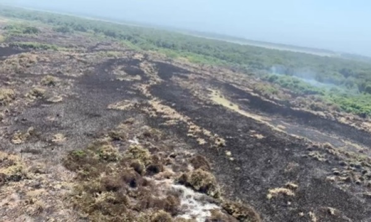 Apoyada desde el aire la atención de la emergencia en la Vía Parque Isla Salamanca
