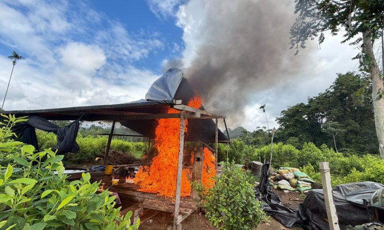 Inhabilitadas 52 infraestructuras clandestinas utilizadas para procesar pasta base de coca en Tumaco, Nariño
