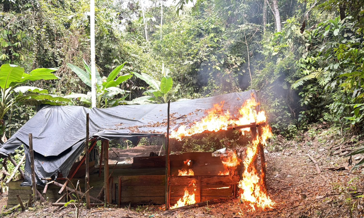 Fuerza Aeroespacial Colombiana y Policía Nacional afectaron infraestructura del narcotráfico en Tumaco, Nariño