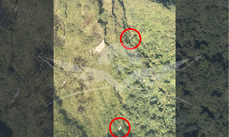 Activados protocolos de búsqueda y salvamento de la aeronave Cessna T-206