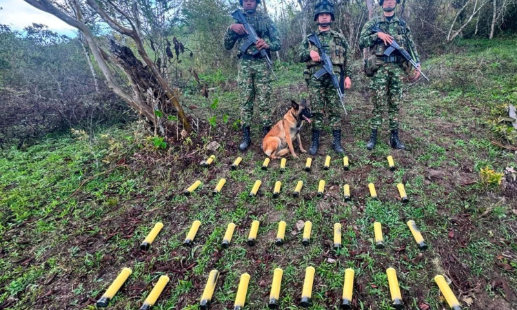 Neutralizada amenaza explosiva contra la Fuerza Pública en Nariño 