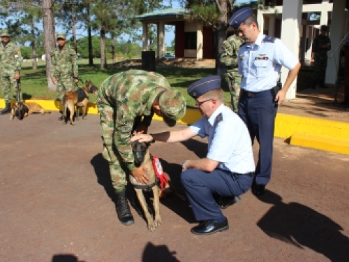 El GAORI rindió homenaje y despidió a Oriana Wright, canina de la Fuerza Aérea Colombiana