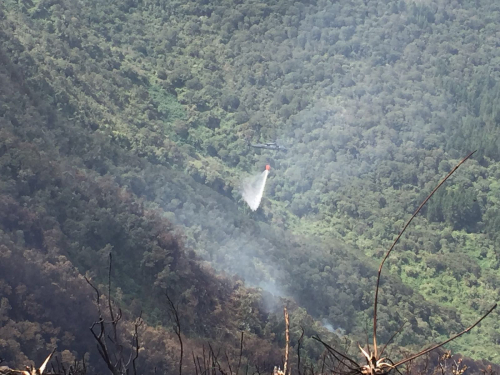 Fuerza Aérea coordina operaciones para la extinción del incendio en Bogotá 