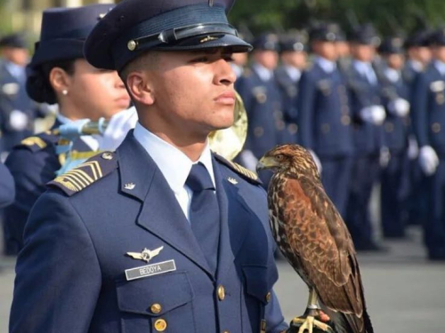 168 cadetes de la Fuerza Aérea Colombiana dijeron "Si juro" 