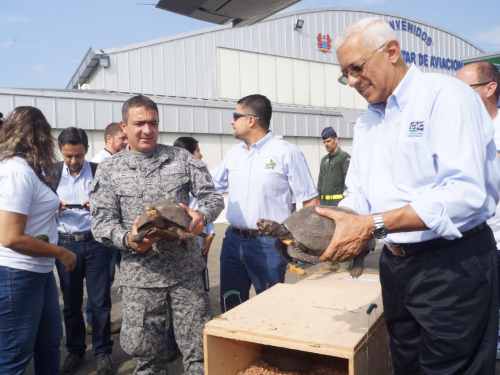 Fuerza Aérea Colombiana, CVC y Corpocesar llevaron 200 animales a la libertad 