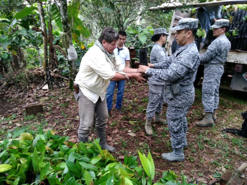 Fuerza Aérea Colombiana apoya mejoramiento de cultivos de cacao en Victoria, Caldas