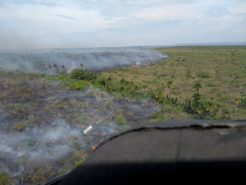 Fuerzas Militares apoyan extinción de incendio en La Macarena