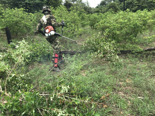 Con Plan Tinigua, Fuerza Aérea Colombiana continúa combatiendo al narcotráfico  