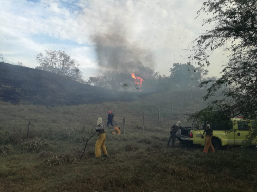 Fuerza Aérea Colombia continua apoyando extinción de incendios forestales en el centro del país