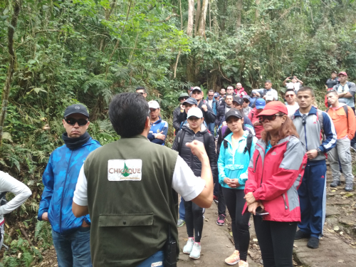 Fuerza Aérea fortalece condición física de sus integrantes con caminata ecológica