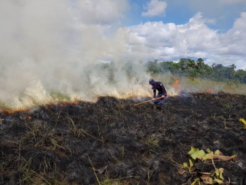 Fuerza Aérea Colombiana extingue incendio en alrededores del río Tomo en Vichada