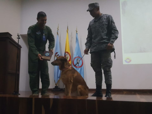 Canino de la Fuerza Aérea recibe reconocimiento tras 10 años de servicio