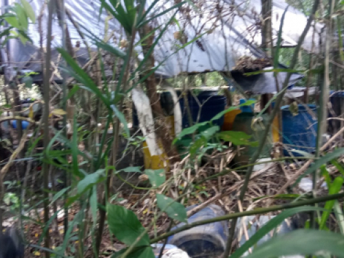 Fuerza de Tarea Ares Inutiliza centro de acopio de insumos en Cumaribo, Vichada