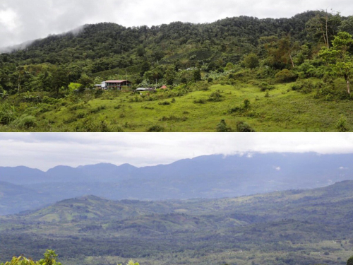 Se crea alianza por la conservación del Bosque de Galilea 