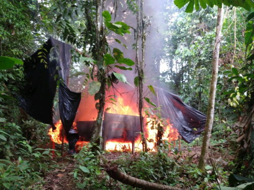 Destruidos laboratorios para el procesamiento de pasta base de coca en Antioquia