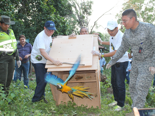 Conservar el medio ambiente, un compromiso de la Fuerza Aérea Colombiana