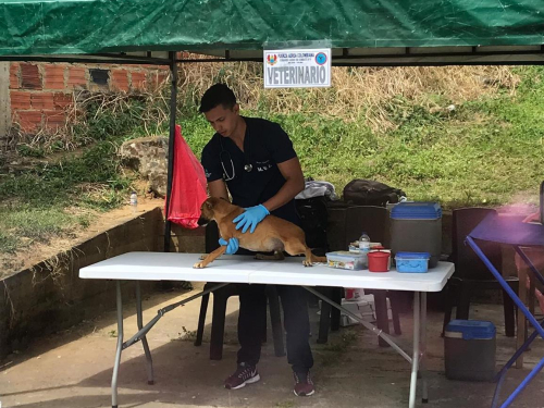 Más de 800 habitantes de Icononzo se beneficiaron gracias a la Fuerza Aérea Colombiana 