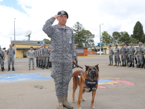 Link canino que se jubiló con honores