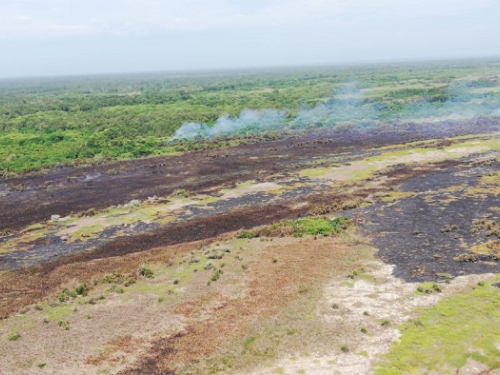 La Fuerza Aérea Colombiana logró controlar totalmente el incendio en el Parque Natural Isla Salamanca