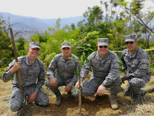 A la sembraton de árboles en Antioquia se unió la Fuerza Aérea