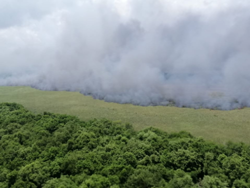 La Fuerza Aérea Colombiana en operación de extinción de incendios en Isla Salamanca  