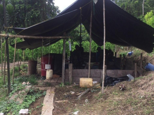 Destruidos nueve laboratorios para procesamiento de alcaloides en Chocó