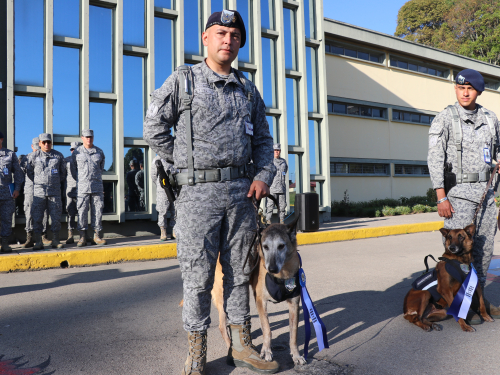 En ceremonia, CATAM jubiló a dos caninos militares 