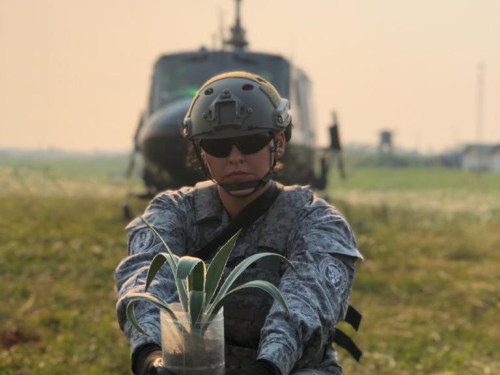 Comando Aéreo de Combate No. 6 al rescate de las selvas amazónicas.