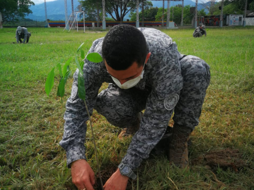 Jornada de reforestación en el Comando Aéreo de Combate No. 1