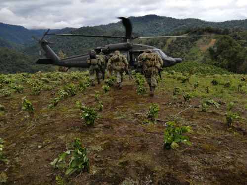 En Chocó fueron destruidos 14 laboratorios para el procesamiento de pasta base de cocaína