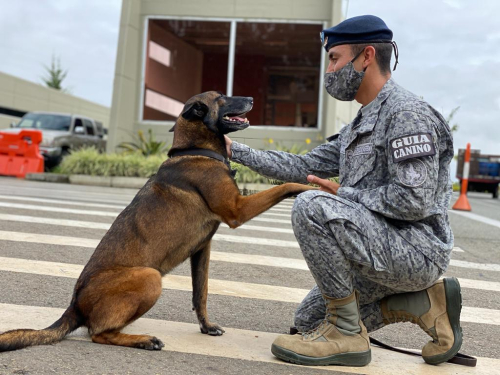 “Por vocación y convicción elegí ser Guía Canino”