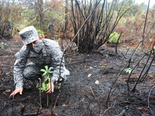 Jornada de reforestación en el municipio Rionegro minimiza impacto ambiental